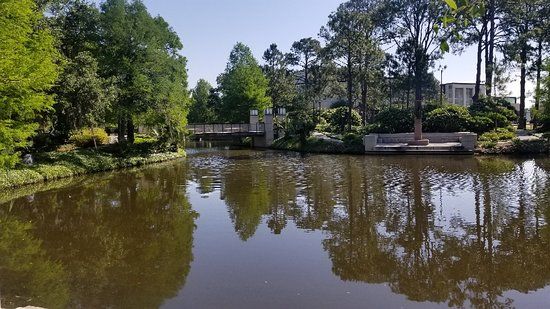 The Sydney and Walda Besthoff Sculpture Garden at NOMA